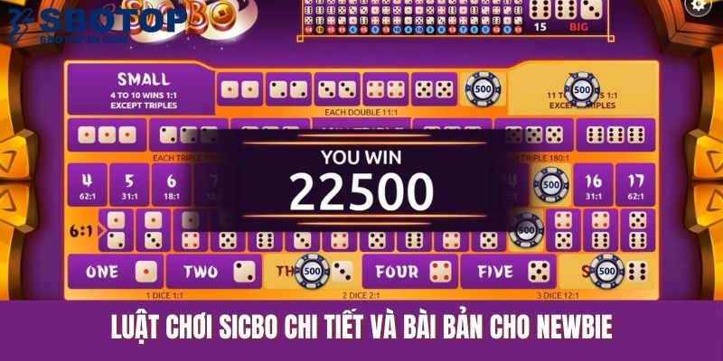 Luật chơi Sicbo chi tiết và bài bản cho newbie