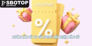Thưởng Nâng Cấp VIP của SBOTOP: Trải Nghiệm Đẳng Cấp